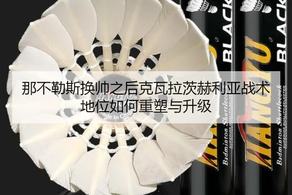 那不勒斯换帅之后克瓦拉茨赫利亚战术地位如何重塑与升级